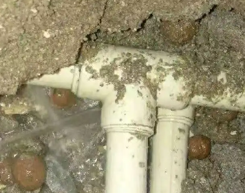 莫力达测漏水多少钱