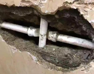 莫力达测漏水哪家好