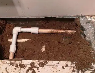 莫力达测漏水哪家好