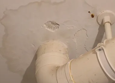 莫力达卫生间测漏水多少钱