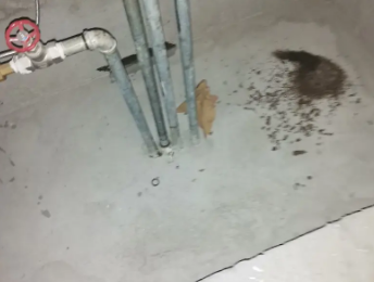 莫力达卫生间测漏水价格明细