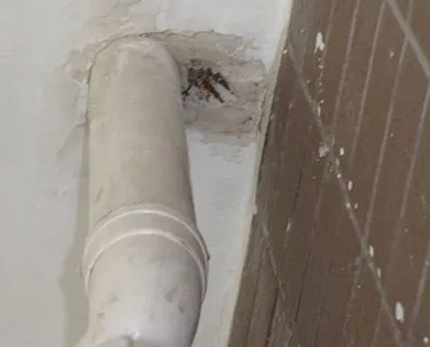 莫力达漏水检测哪家好